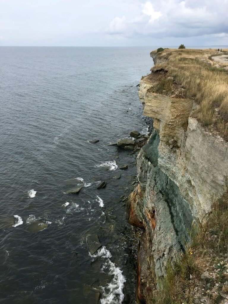 img 1061