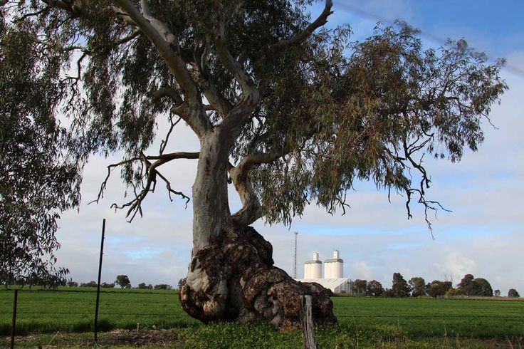 7 Best Places To Call Home In South Australia 1000404901