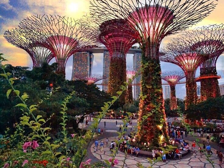 Gardens by the Bay, is one of the top places to visit in singapore