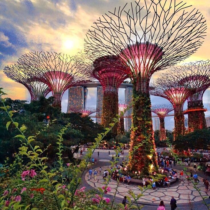 Top 10 Places to Visit in Singapore 1000434741
