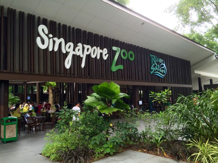 Top 10 Places to Visit in Singapore 1000434744