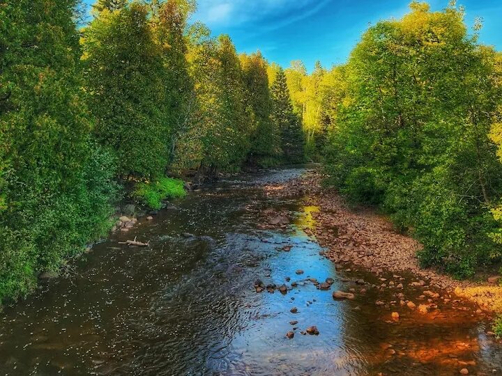 Water cascading over rocky cliffs at Gooseberry Falls State Park surrounded by forests in Minnesota