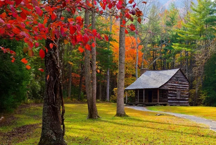 Best Places to Visit in North Carolina with Family