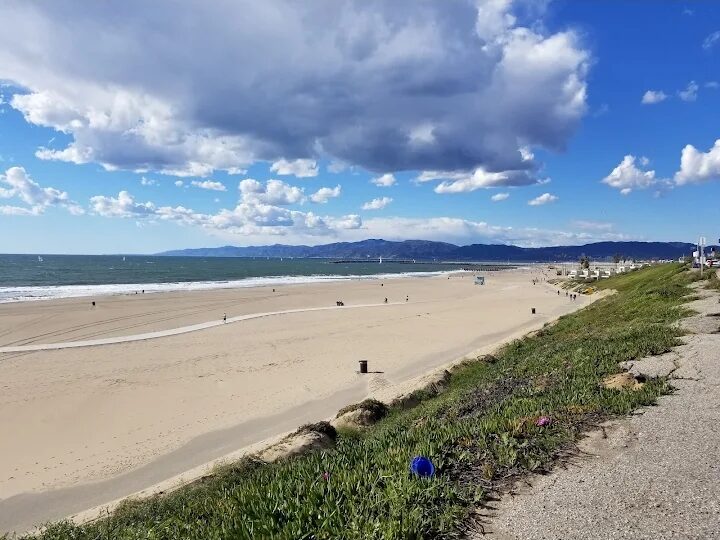 Best Beaches in Los Angeles to Swim